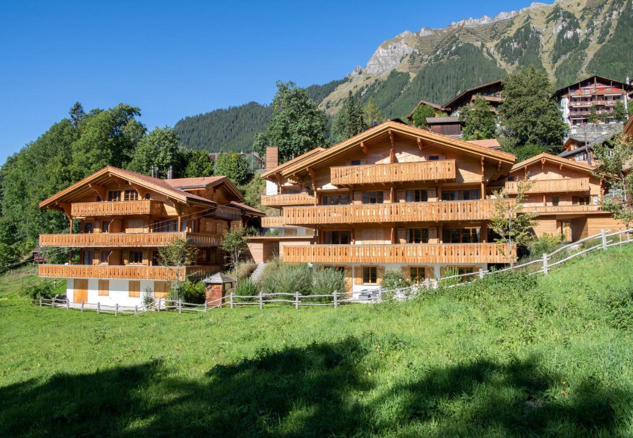 Panoramapark Soleil B Garden Apartment Wengen Exterior foto